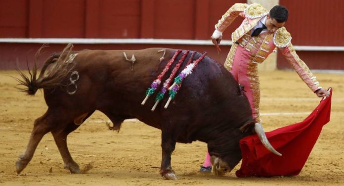 corridas de toros