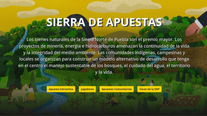 12 proyectos extractivos amenazan a los bosques de la Sierra Norte de Puebla y a quienes habitan ahí