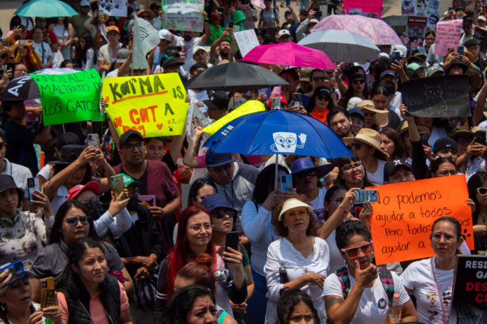 Tras los hechos recientes sobre la tortura de gatos en China, defensores de los animales marcharon desde el Ángel de la Independencia hasta Palacio Nacional, para denunciar la crueldad animal en el país. A su vez, se exhibieron actos hacia los animales de santería en el Mercado de Sonora y negligencia a causa del Tren Maya, en México.