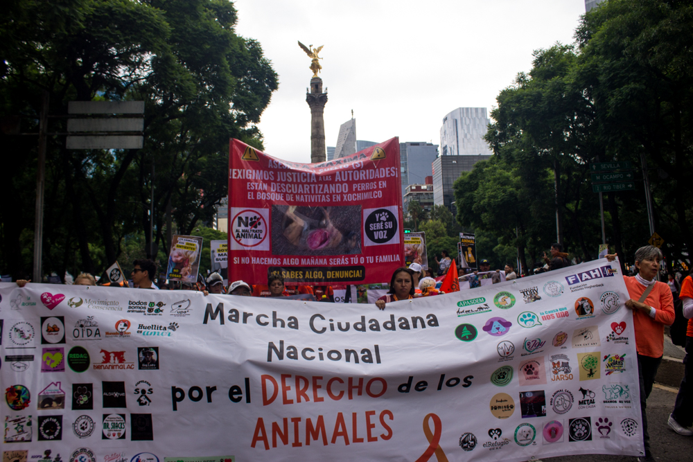 Marcha Ciudadana Nacional por el Derecho de los Animales