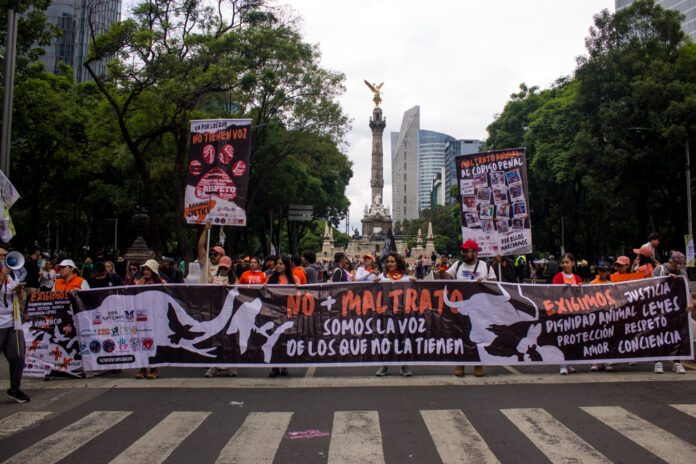 Marcha Ciudadana Nacional por el Derecho de los Animales