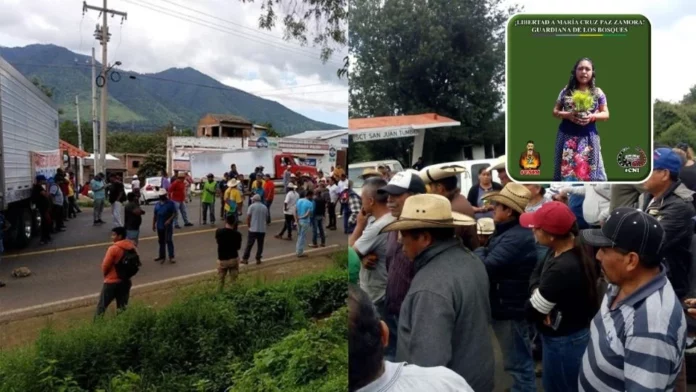 Comunidades indígenas exigen la liberación de la guardiana del bosque en Michoacán.