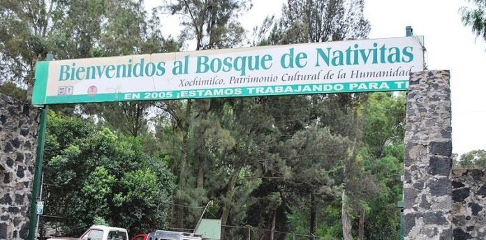 Bosque de Nativitas perros