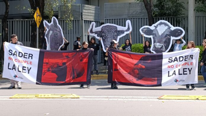 Corridas de toros