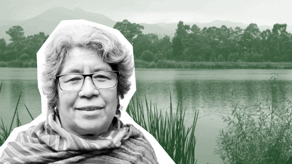 La alcaldesa sustituta de Xochimilco Juana Onésima, mencionó que no se retirarán los cargos contra la defensora de territorio Hortensia Telésforo y que quieren que el inmueble sea administrado por la Alcaldía Xochimilco.