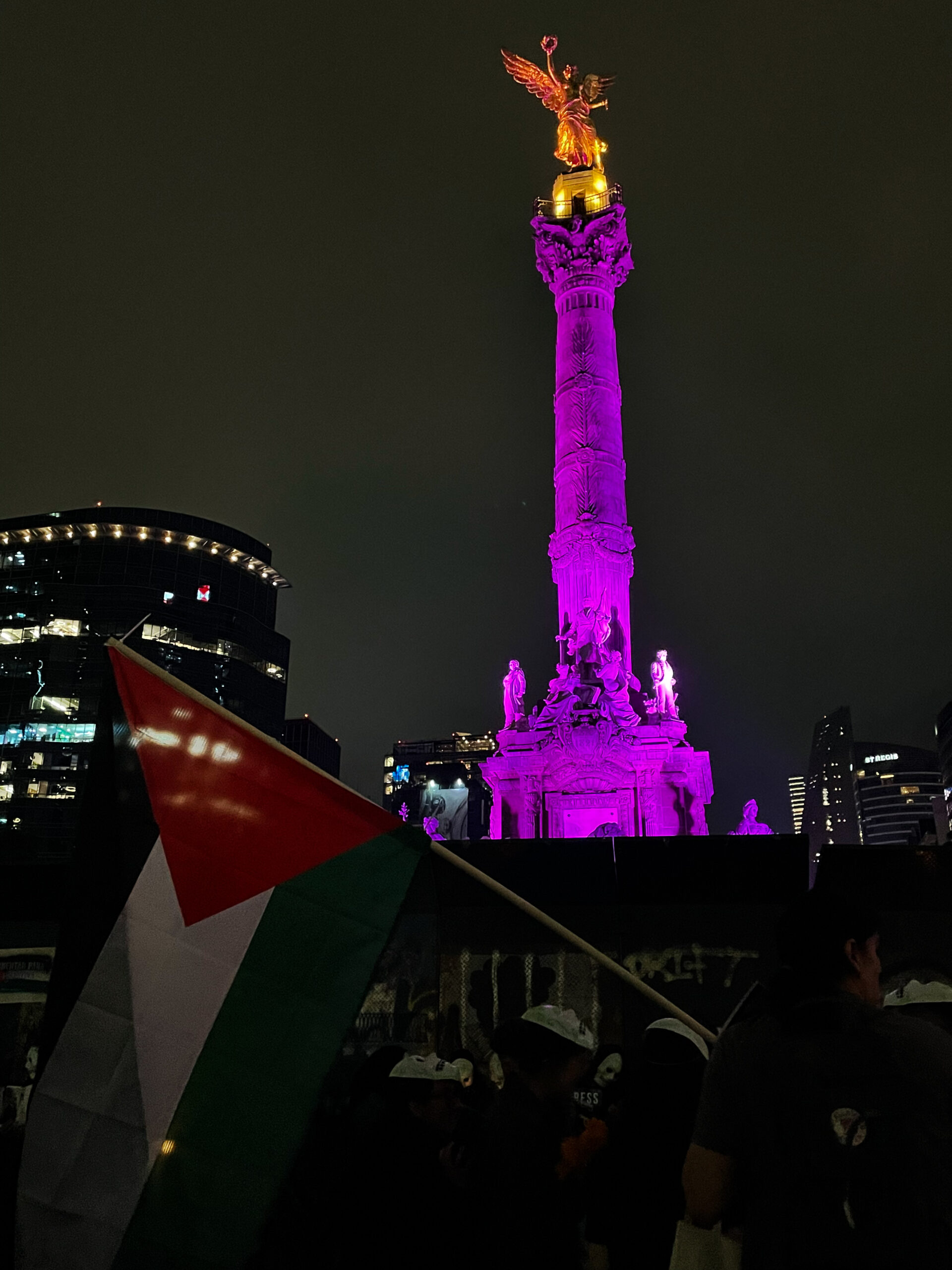 Como parte de la velada se nombró a cada periodista asesinado, mientras que la persona que sostenía su fotografía se tiraba al suelo como representación de su muerte. También con esta acción de protesta se buscó mandar un mensaje de solidaridad al pueblo de Palestina.