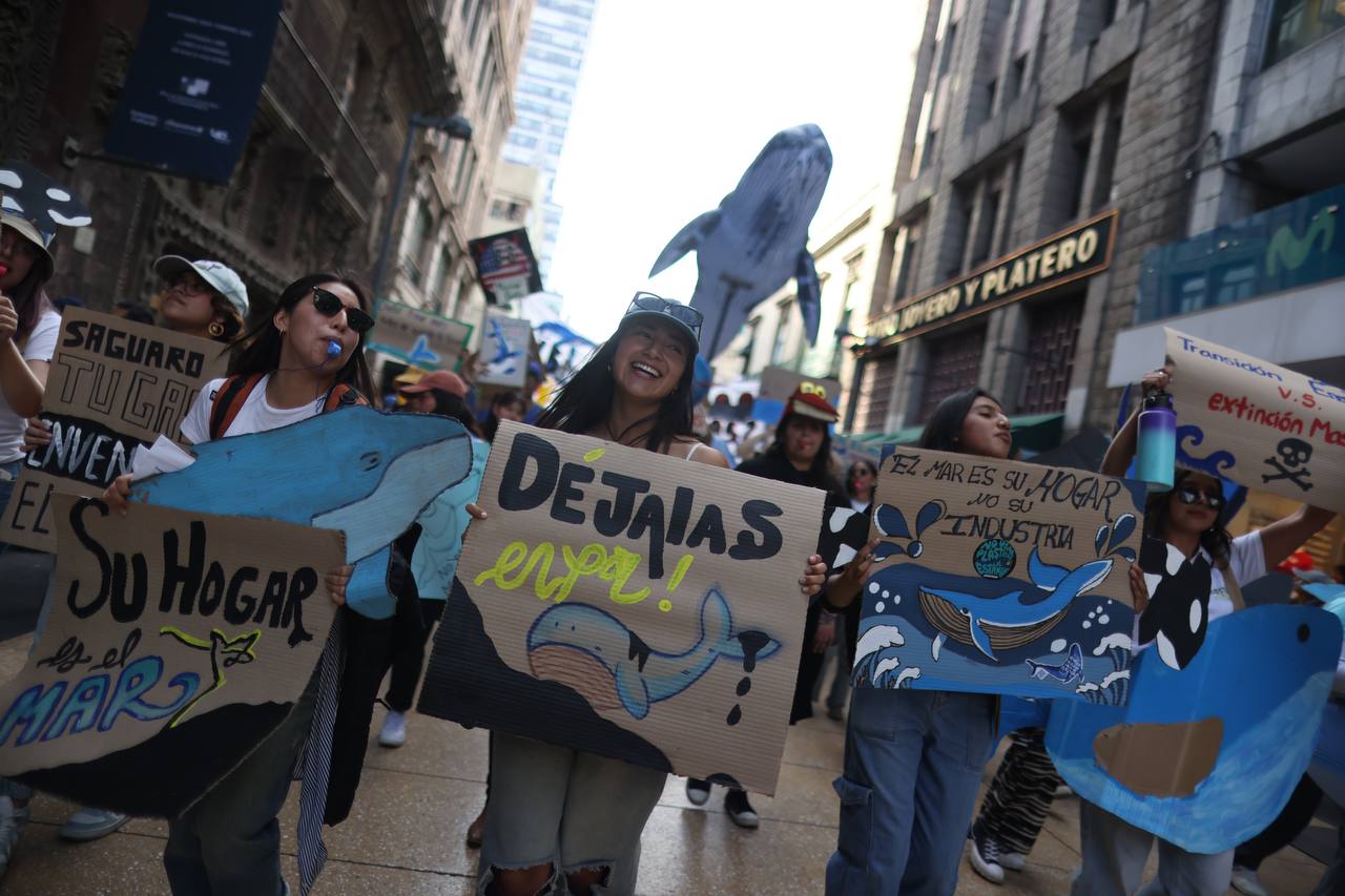 Con Festival en el Zócalo exigen a Sheinbaum que proteja a las ballenas