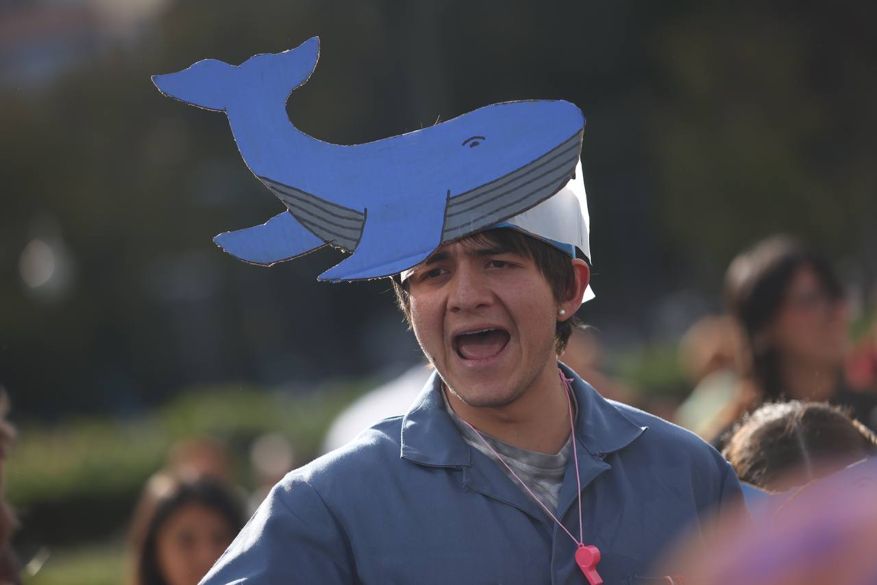 Con Festival en el Zócalo exigen a Sheinbaum que proteja a las ballenas