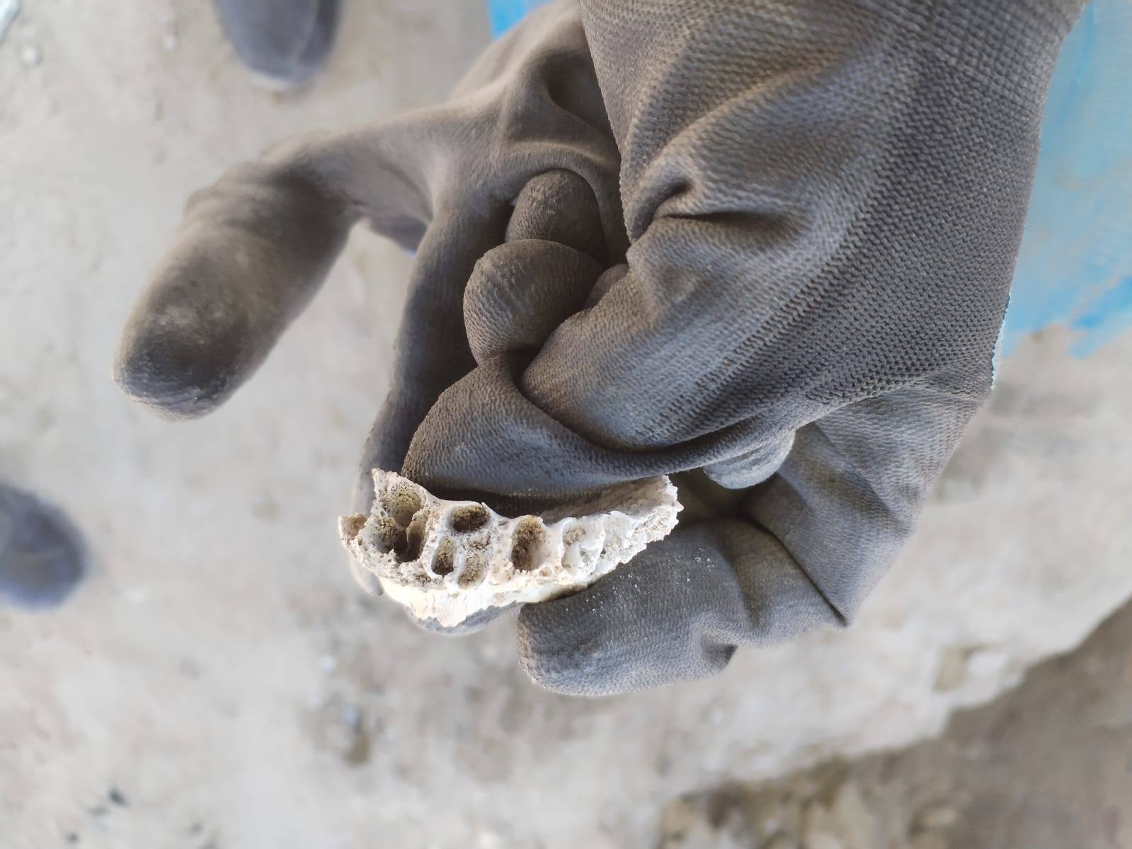 Los buscadores encontraron restos humanos calcinados, hornos clandestinos y pertenencias de posibles víctimas en un predio de Teuchitlán, Jalisco.