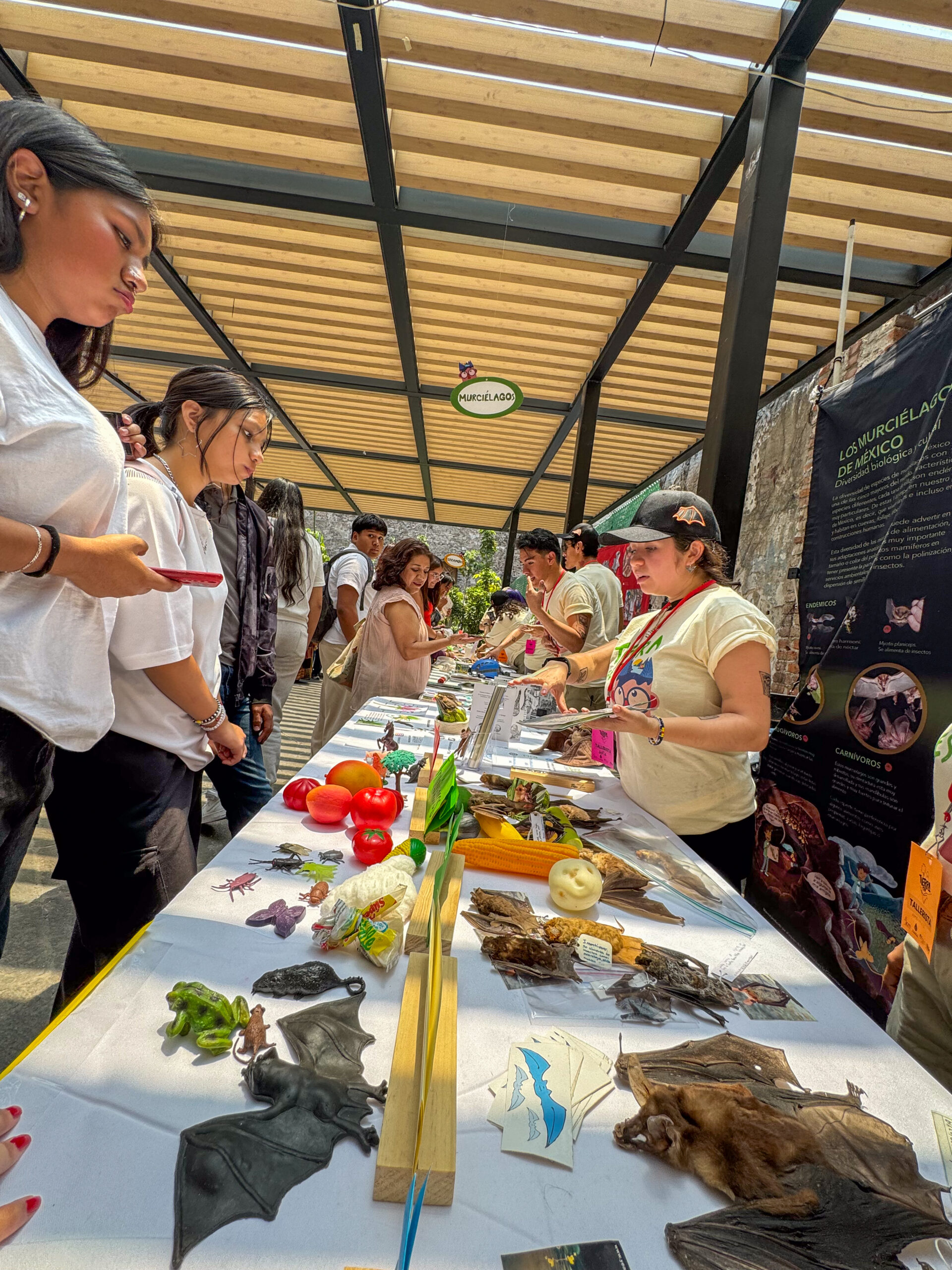 Del 22 al 27 de abril en distintas sedes de la Ciudad de México, se llevará a cabo la quinta edición del TierraFest para celebrar el día mundial de la Tierra. Festival que combinará ciencia, arte y cultura a través de talleres, cine y distintas actividades, con el objetivo de explorar la relación e interacción que existe entre los humanos y el medio ambiente.