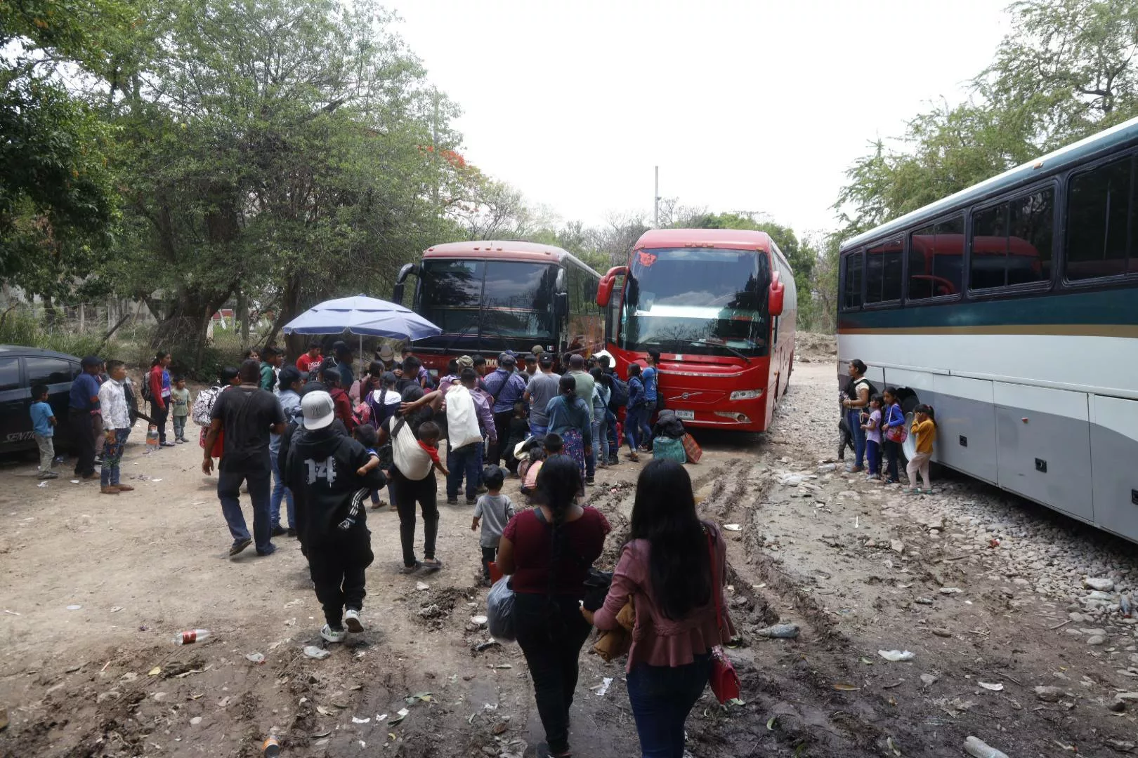 Más de 100 jornaleros indígenas, incluidos 30 niños, partieron de la Montaña de Guerrero hacia Zacatecas y Chihuahua para trabajar en condiciones precarias. Mujeres, hombres y menores enfrentan salarios bajos, viajes extenuantes y la separación de sus familias para sobrevivir.